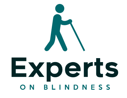 Experts on Blindness